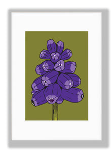 Muscari art print designed by Anne Harrington Rees. Designed, Printed and made in Ireland. Purple flower on green background.