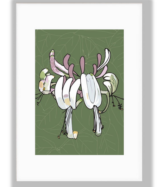 Honeysuckle, Floral Art Print