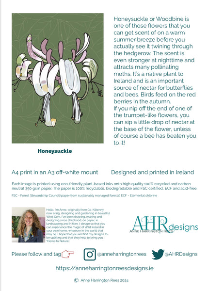 Honeysuckle, Floral Art Print