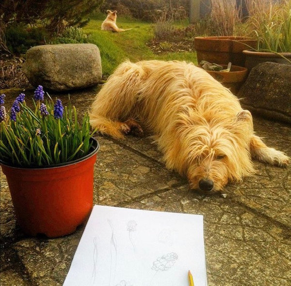 Drawing Muscari with Luna and Seren