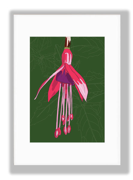 Fuchsia, Green background Art Print, mounted. Designed by Anne Harrington Rees. Designed, printed and made in Ireland.