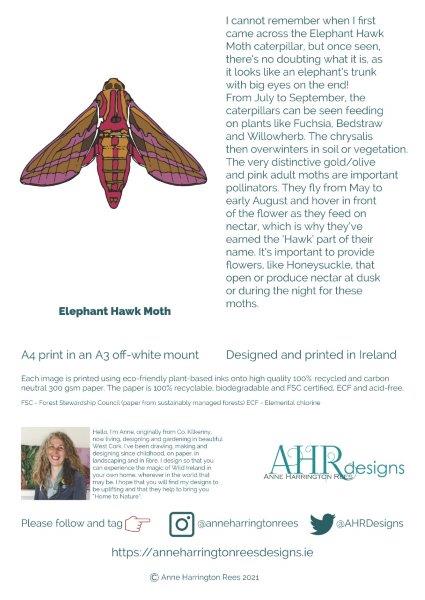 Information insert about the print