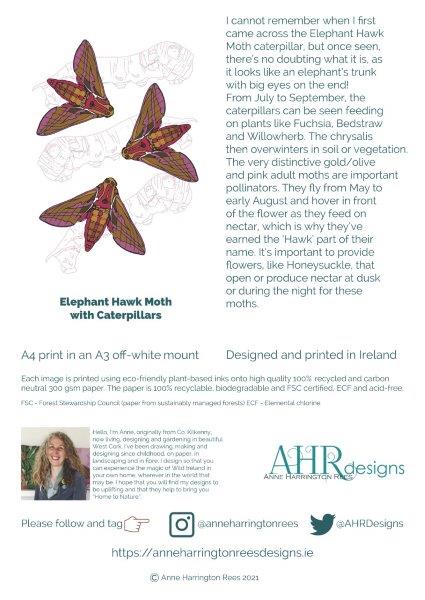 Information insert about the print