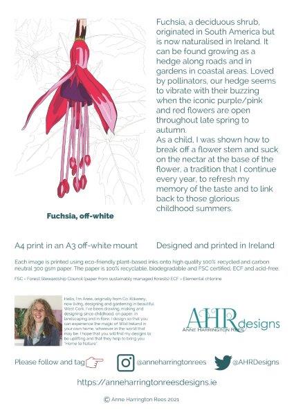 Information insert about the print