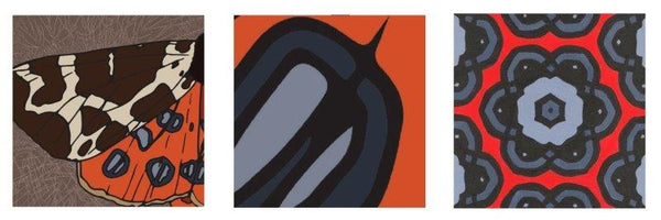 Sequence of images showing the development of the Garden Tiger pattern.