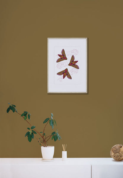 Elephant Hawk Moth with Caterpillars Art Print, mounted and framed, hanging in a room