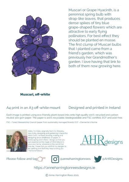 Information insert about the print. Designed by Anne Harrington Rees. Designed, printed and made in Ireland.