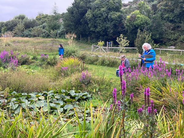 Group of workshop participants Green Sketching at Heron Gallery Gardens, Ahakista