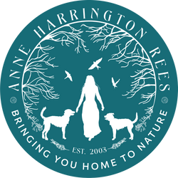 Anne Rees Designs What is Green Sketching? – Anne Harrington Rees Designs