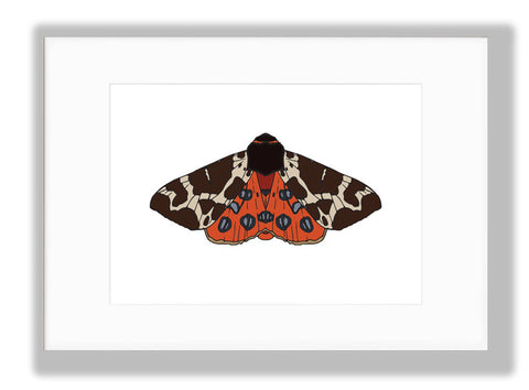 Garden Tiger Moth Art Print, mounted. Designed by Anne Harrington Rees. Designed, printed and made in Ireland.