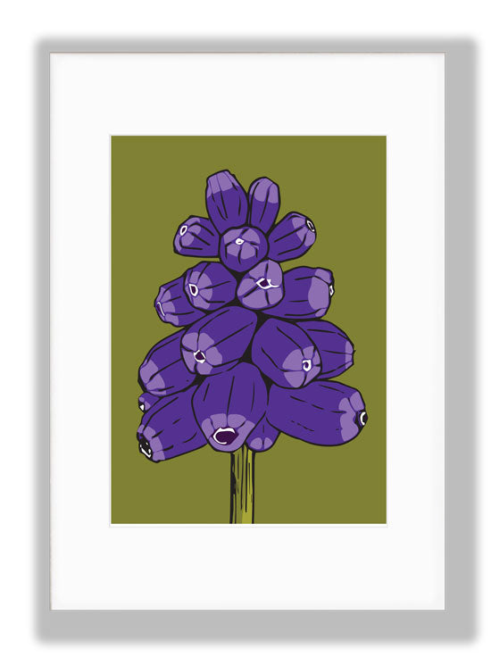 Muscari, Green background, Art Print, mounted. Designed by Anne Harrington Rees. Designed, printed and made in Ireland.