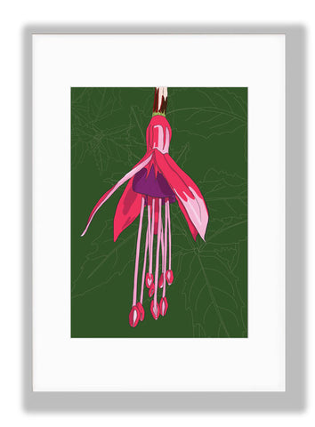 Fuchsia, Green background Art Print, mounted. Designed by Anne Harrington Rees. Designed, printed and made in Ireland.