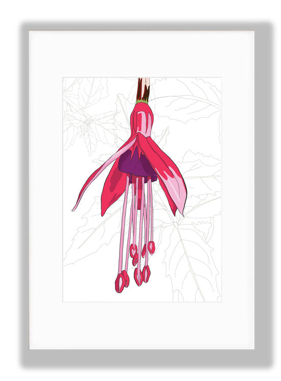 Anne Rees Designs Fuchsia, Floral Art Print – Anne Harrington Rees Designs