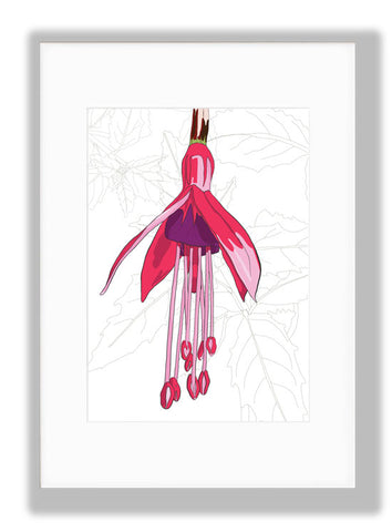Fuchsia, Off-white background, Art Print, mounted. Designed by Anne Harrington Rees. Designed, printed and made in Ireland.