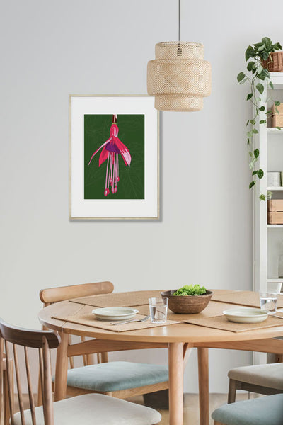 Fuchsia, Green background, Art Print, mounted and framed, hanging on a wall. Designed by Anne Harrington Rees. Designed, printed and made in Ireland.