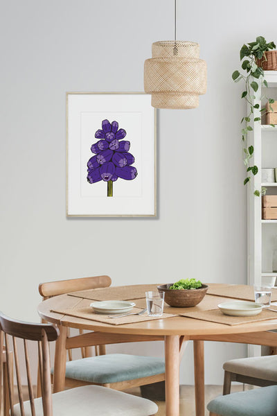 Muscari, Off-white background, Art Print, mounted and framed, hanging on a wall. Designed by Anne Harrington Rees. Designed, printed and made in Ireland.