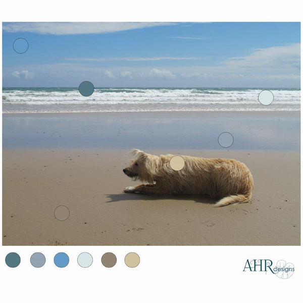 'Kelp' design colour palette taken from this photo of Luna the blonde lurcher lying in wait for her sister on Ballyquin beach.